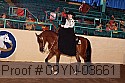 09yn-03661 proof