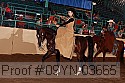 09yn-03665 proof