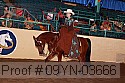 09yn-03666 proof