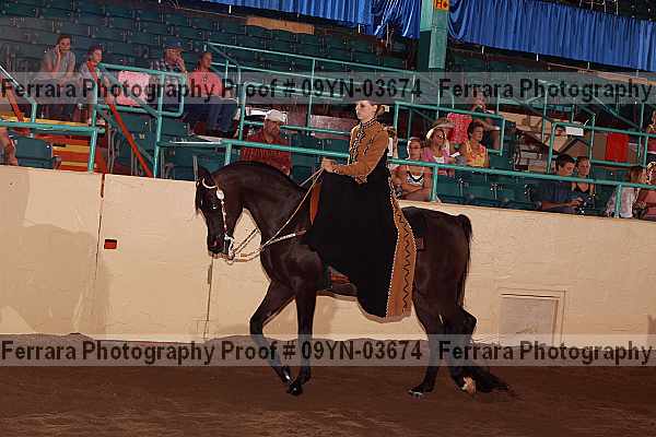 Proof 09yn-03674