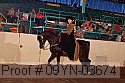 09yn-03674 proof