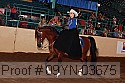 09yn-03675 proof