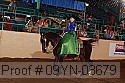 09yn-03679 proof