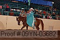 09yn-03682 proof