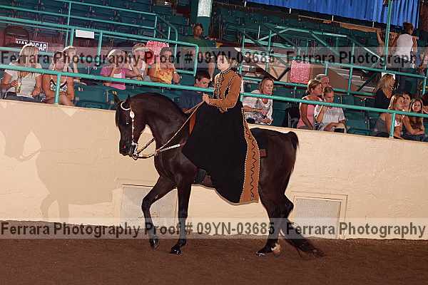 Proof 09yn-03685