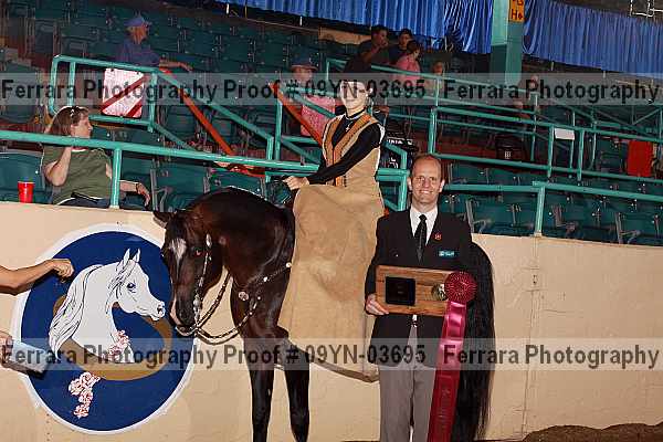 Proof 09yn-03695