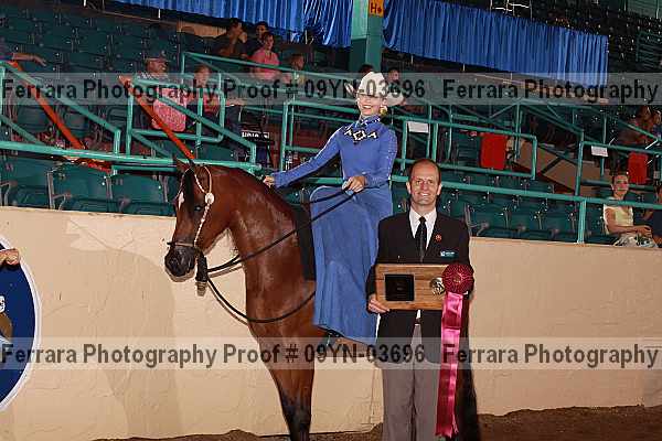 Proof 09yn-03696