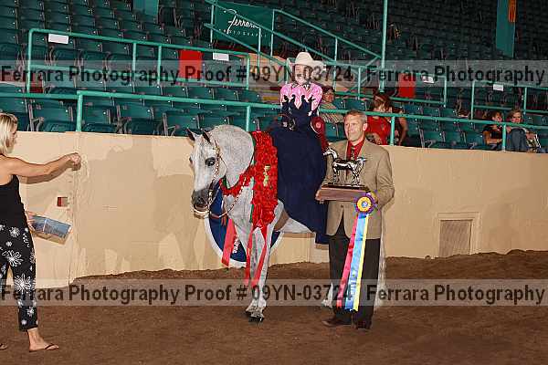 Proof 09yn-03724