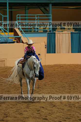 Proof 09yn-03730