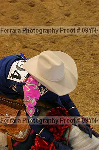 Proof 09yn-03799