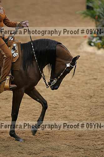 Proof 09yn-05583