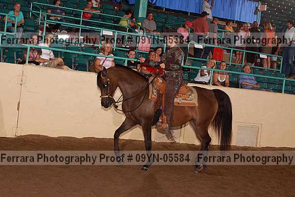 Proof 09yn-05584