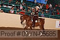 09yn-05585 proof