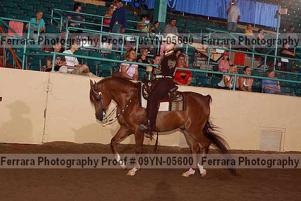 Proof 09yn-05600
