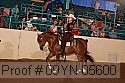 09yn-05600 proof