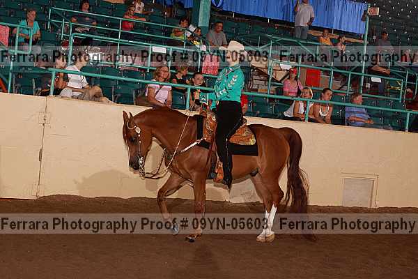 Proof 09yn-05603