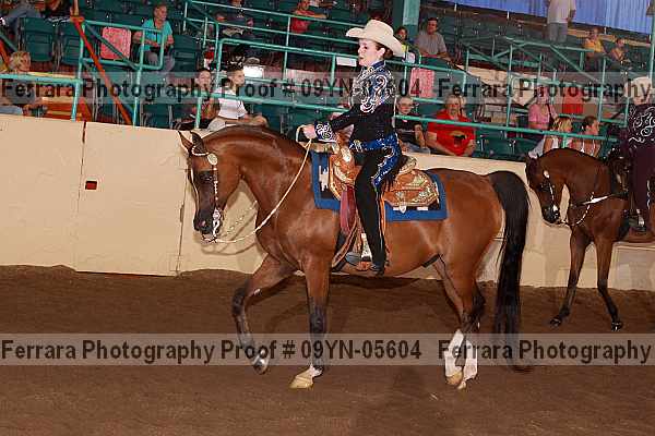 Proof 09yn-05604