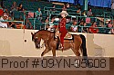 09yn-05608 proof