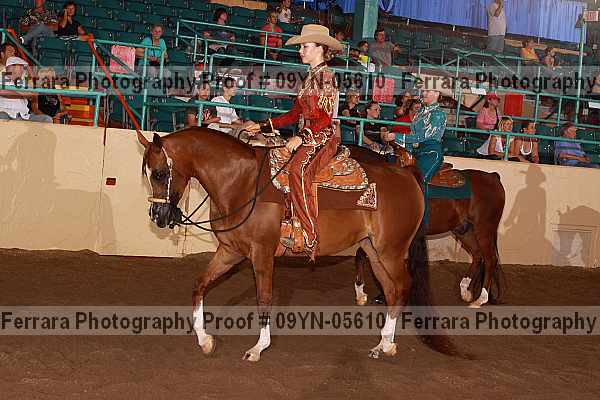 Proof 09yn-05610