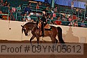 09yn-05612 proof