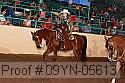 09yn-05613 proof