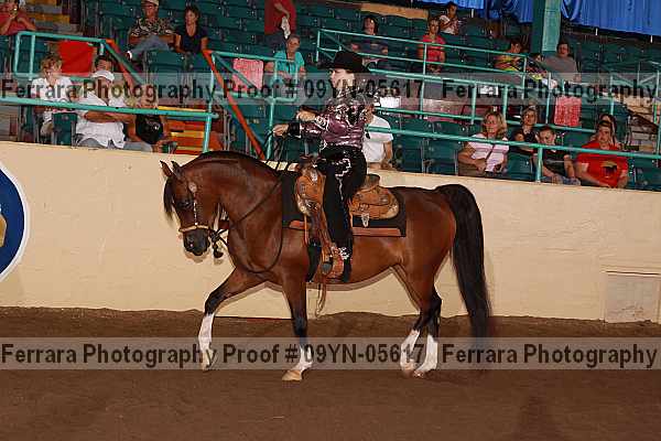 Proof 09yn-05617
