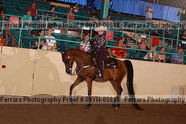 Proof 09yn-05618