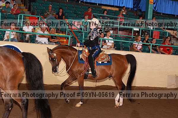 Proof 09yn-05619