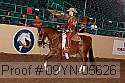 09yn-05626 proof