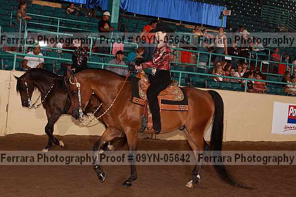 Proof 09yn-05642