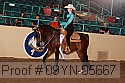09yn-05667 proof