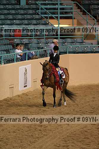 Proof 09yn-12151