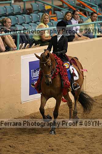 Proof 09yn-12154