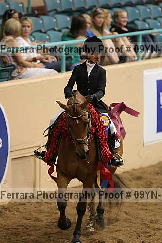 Proof 09yn-12155