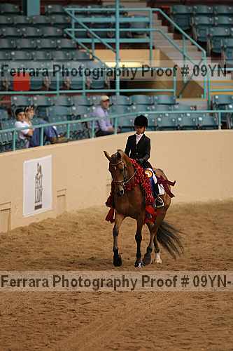 Proof 09yn-12160