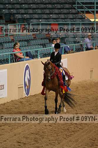 Proof 09yn-12161