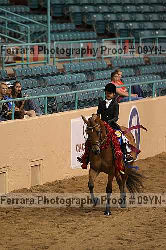 Proof 09yn-12162