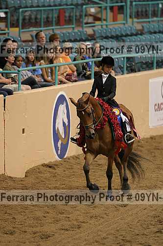 Proof 09yn-12163