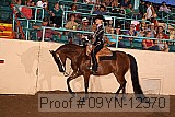 09yn-12370 proof