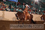 09yn-12373 proof