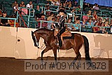 09yn-12378 proof