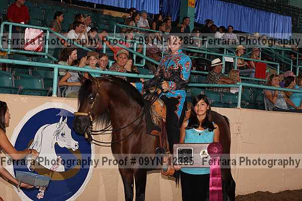 Proof 09yn-12385