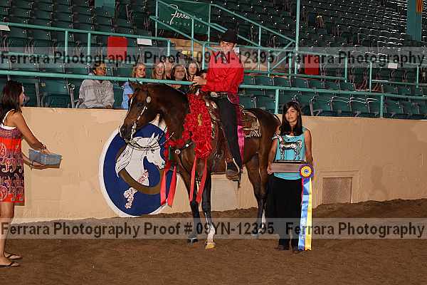 Proof 09yn-12395