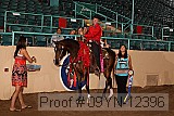 09yn-12396 proof