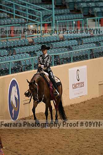 Proof 09yn-12398