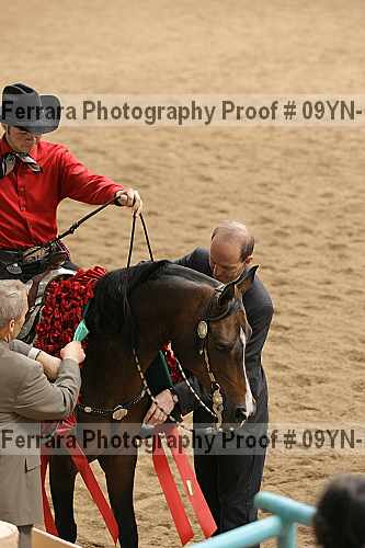 Proof 09yn-12401