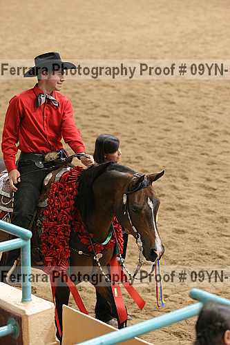 Proof 09yn-12407