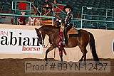 09yn-12427 proof