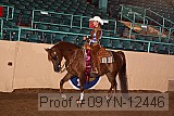 09yn-12446 proof