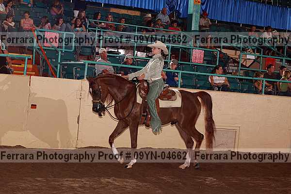 Proof 09yn-04662
